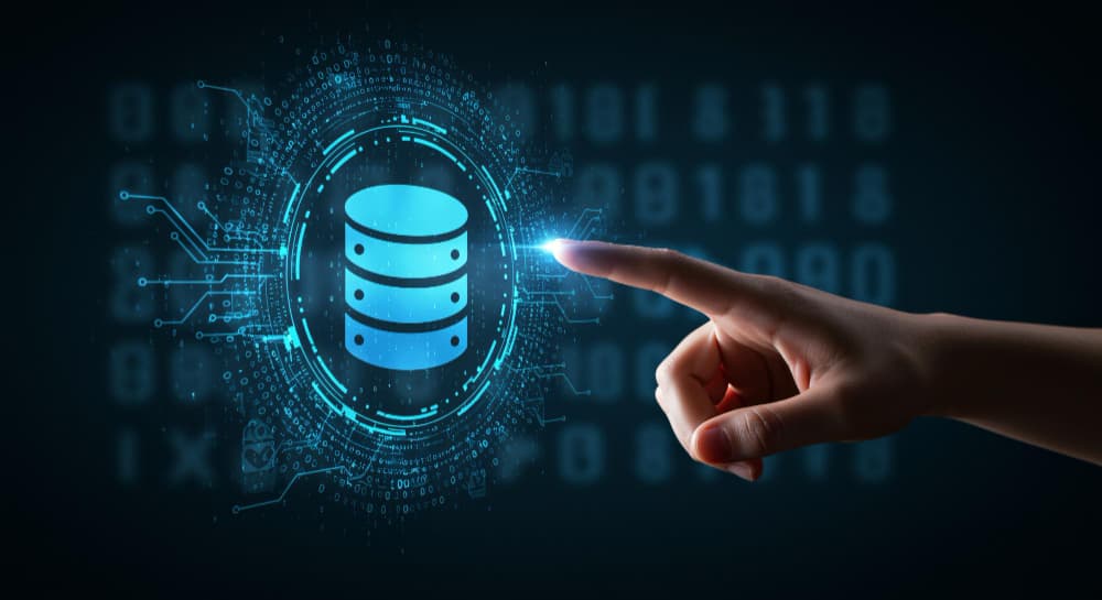 ORACLE DATABASE SUPPORT